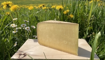 Rückholzer Hirtenkäse
