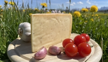 Tomate-Knoblauchkäse (NEU)