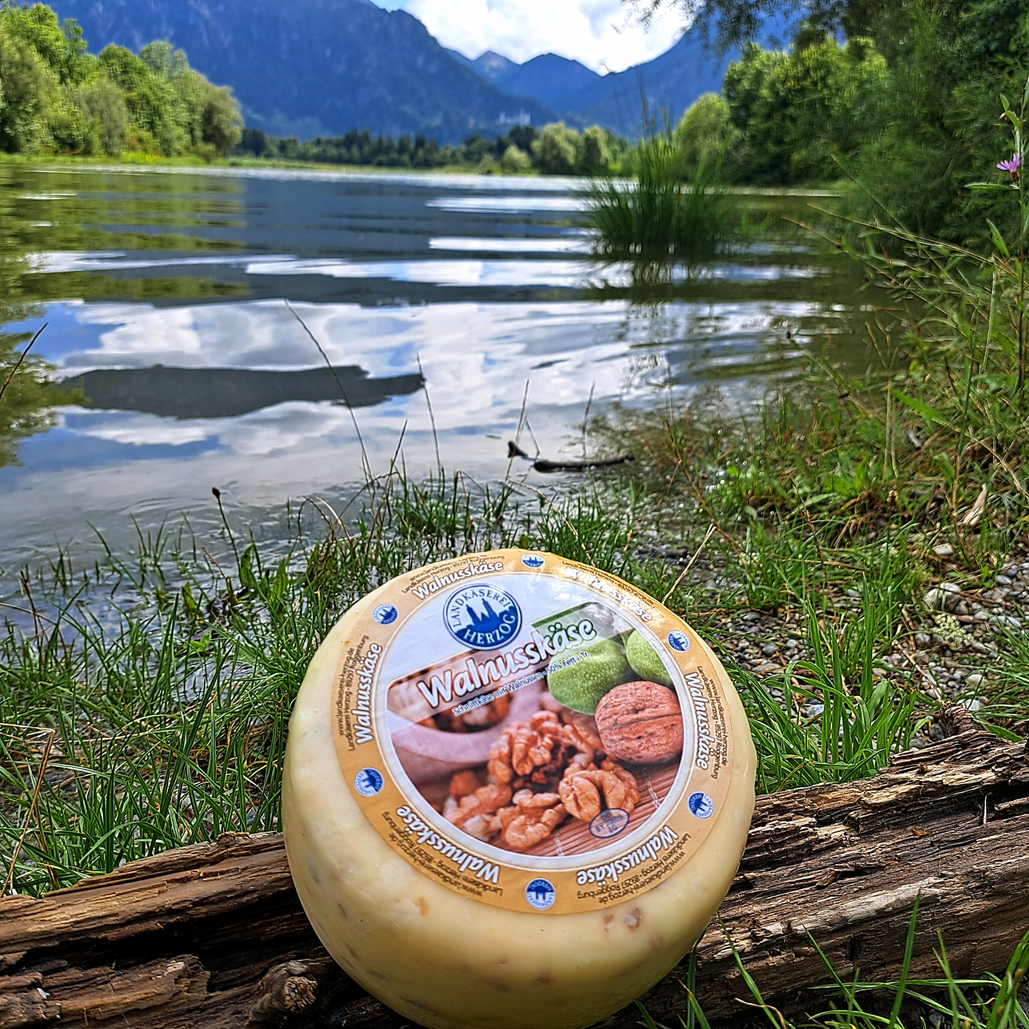 Roggenburger Walnußkäse v.Laib