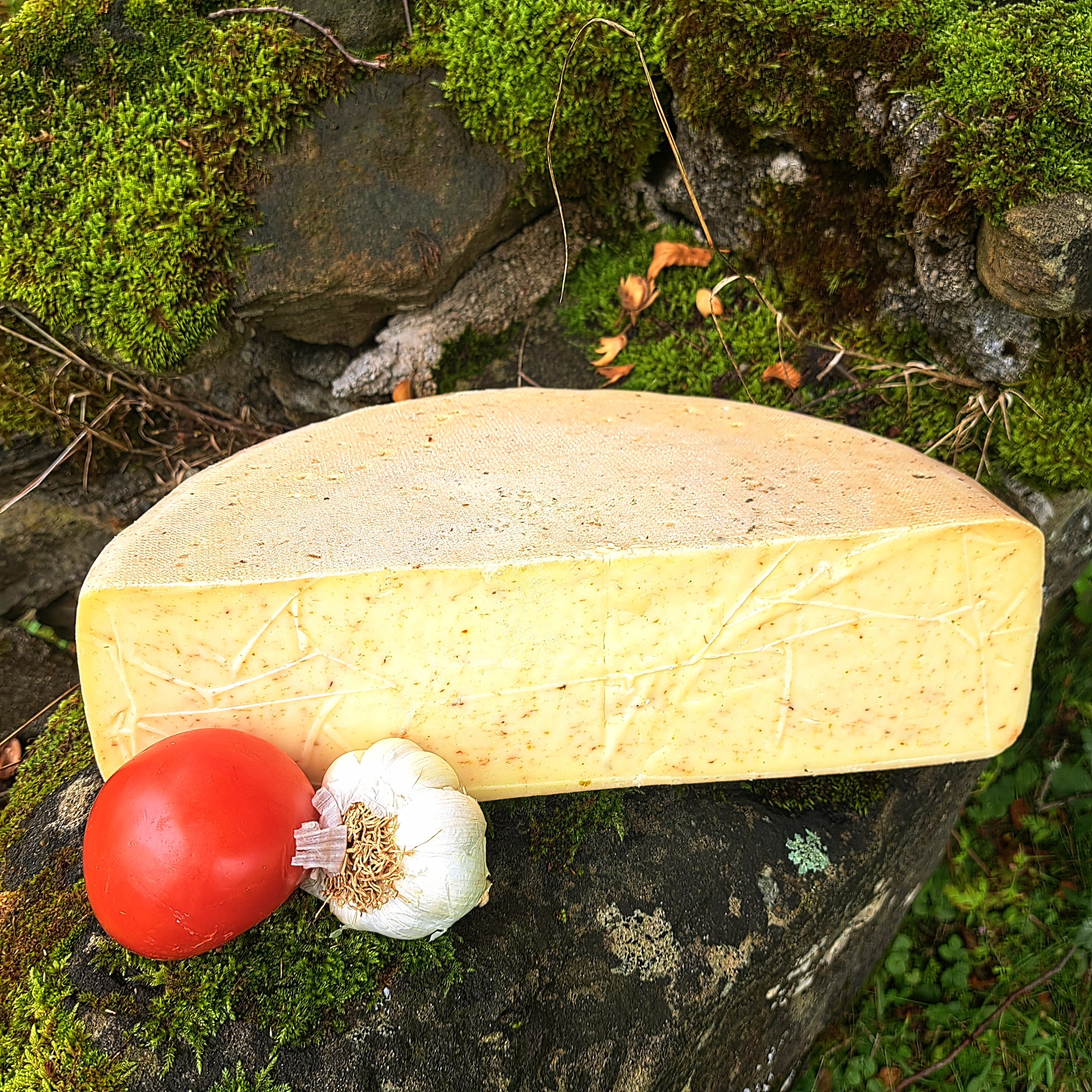 Tomate-Knoblauchkäse