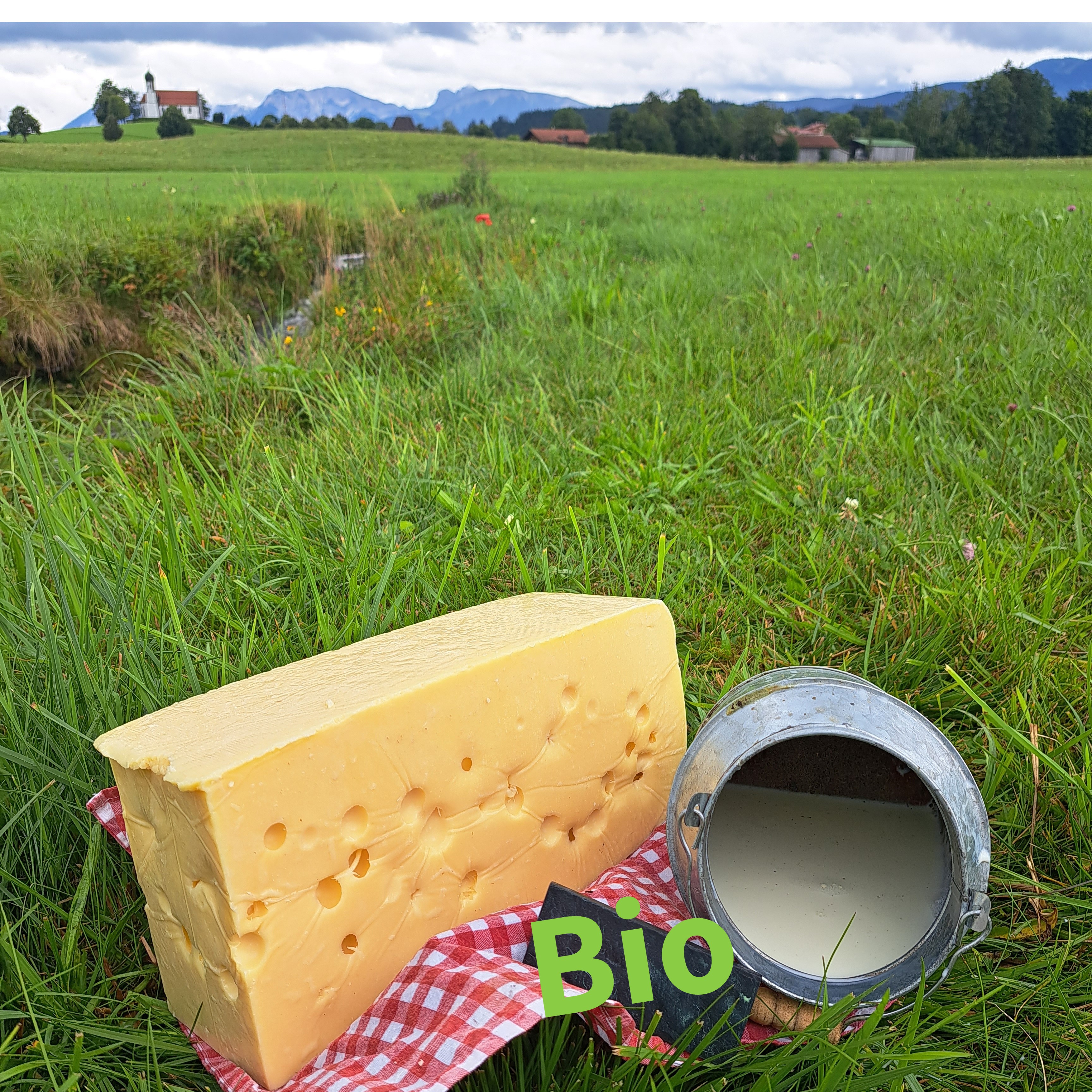 Emmentaler BiO