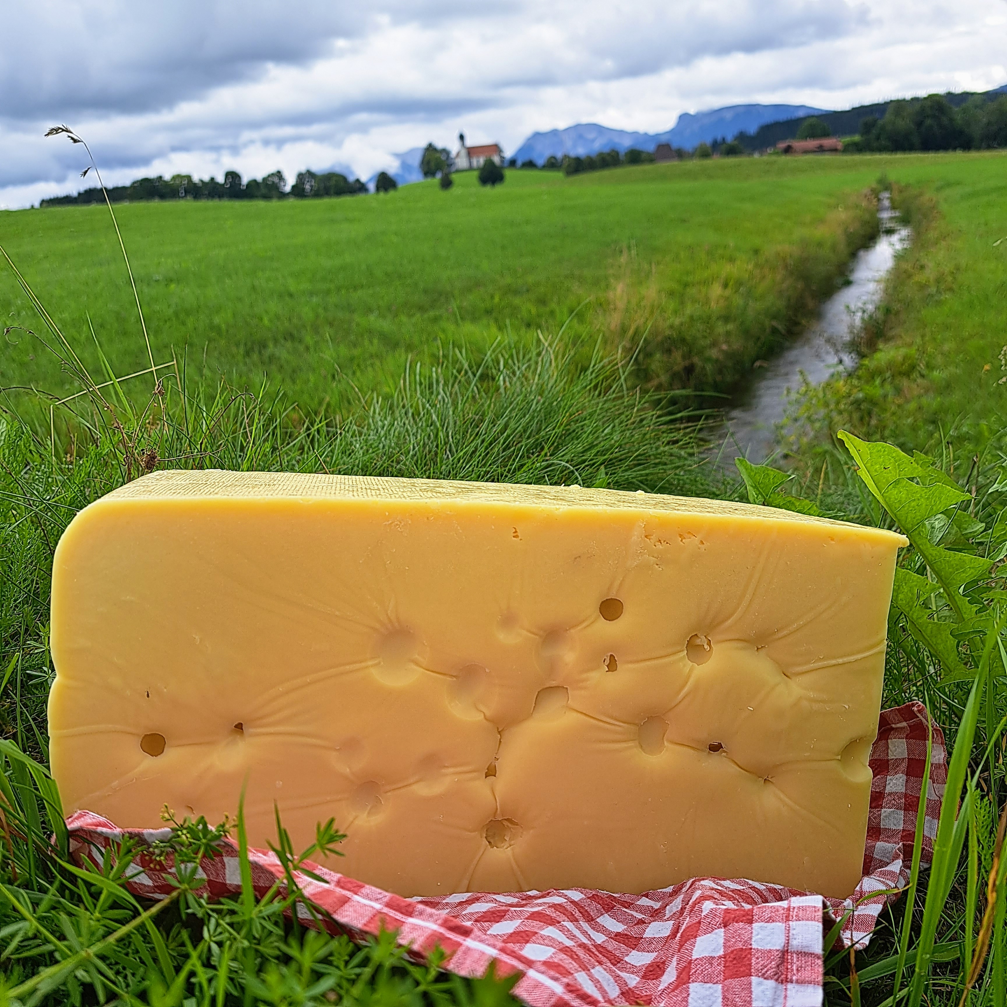 Emmentaler mild