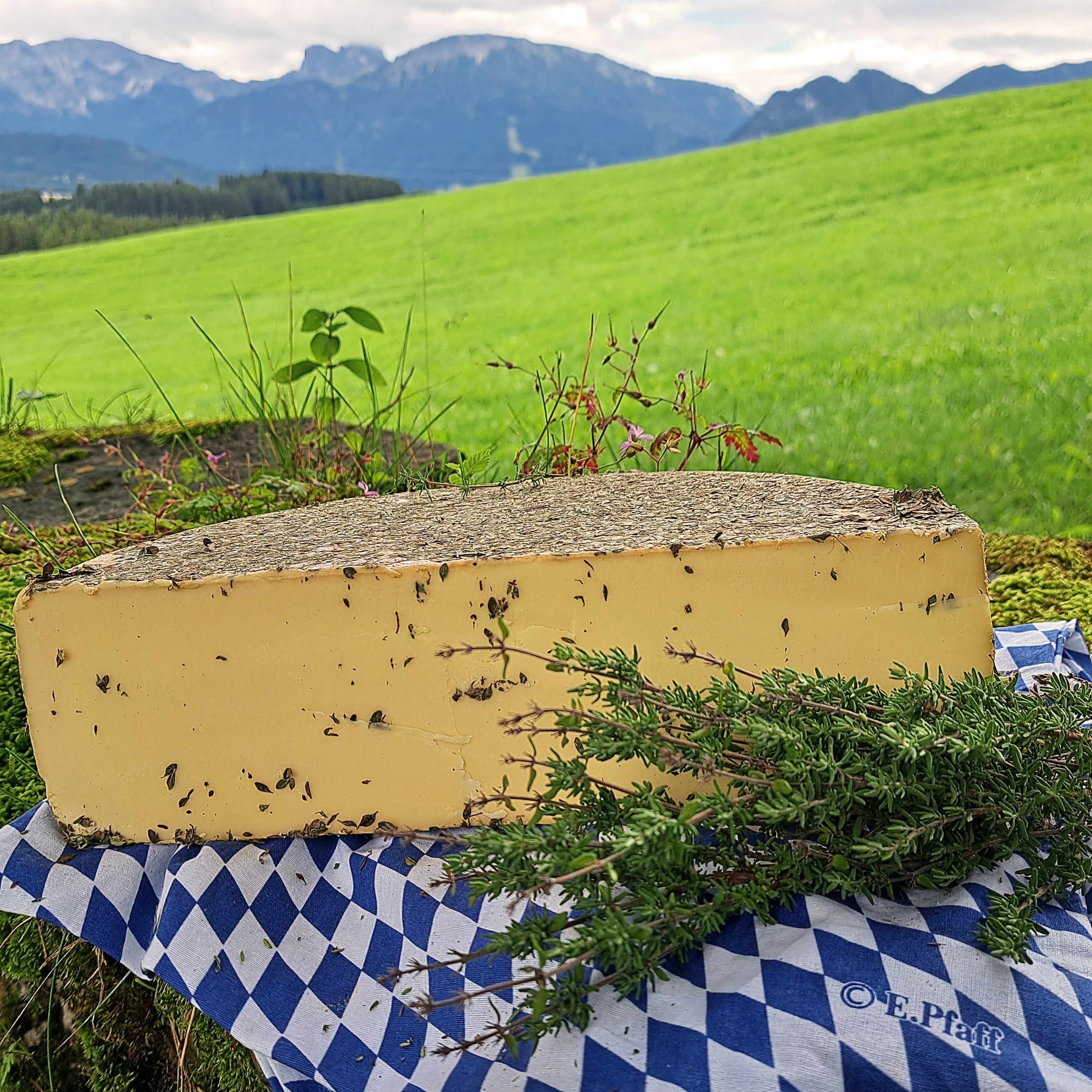 Zitrone Thymian Käse