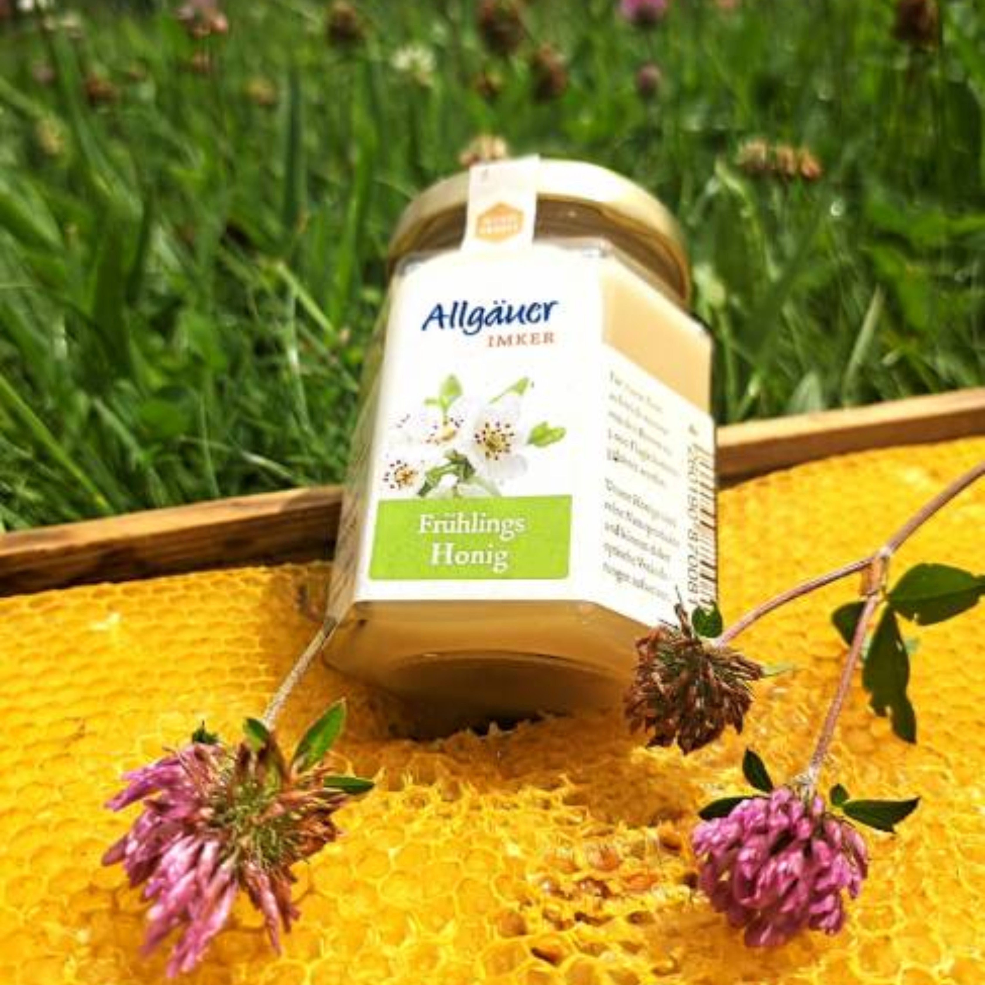 Allgäuer Frühlingshonig