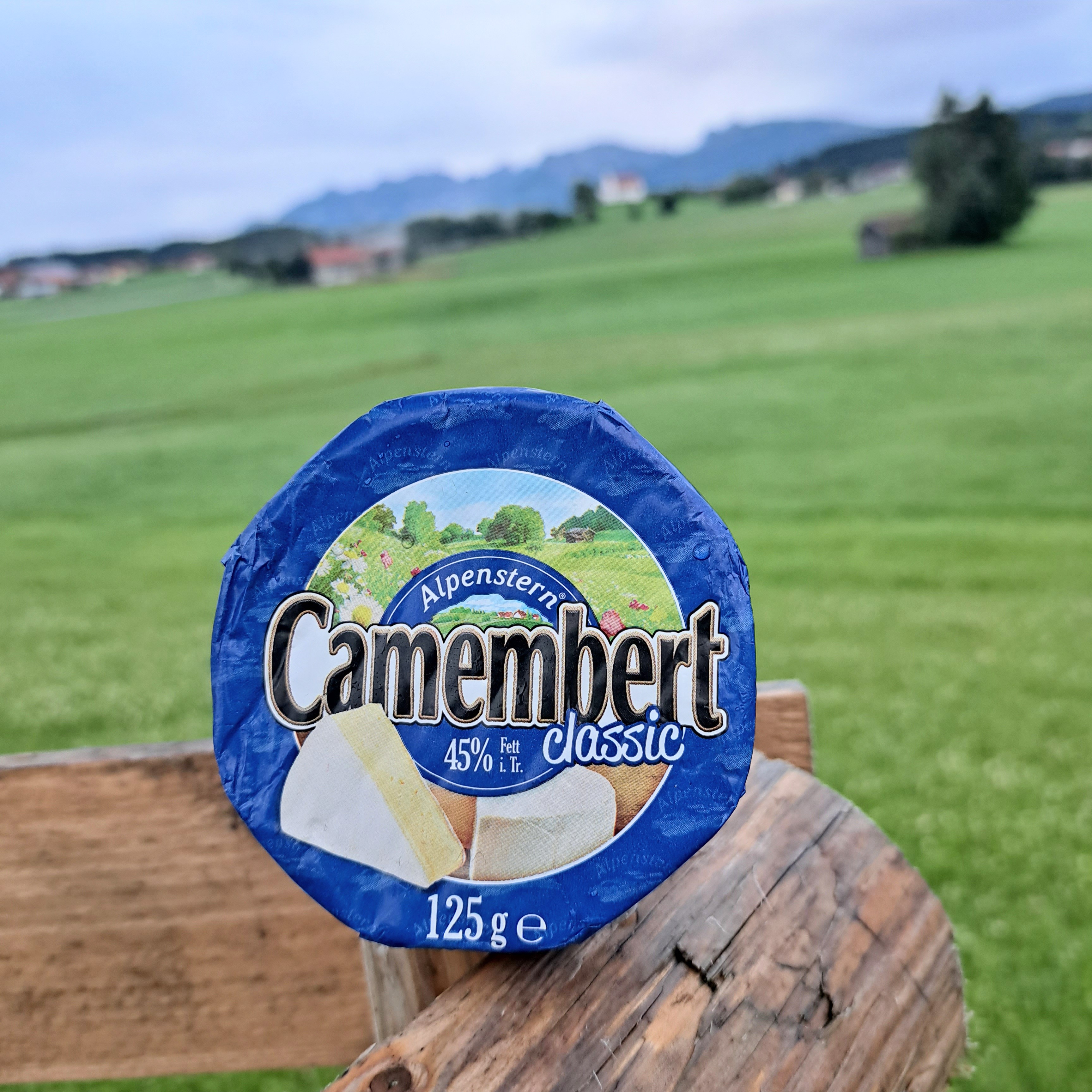 Alpenstern Camembert