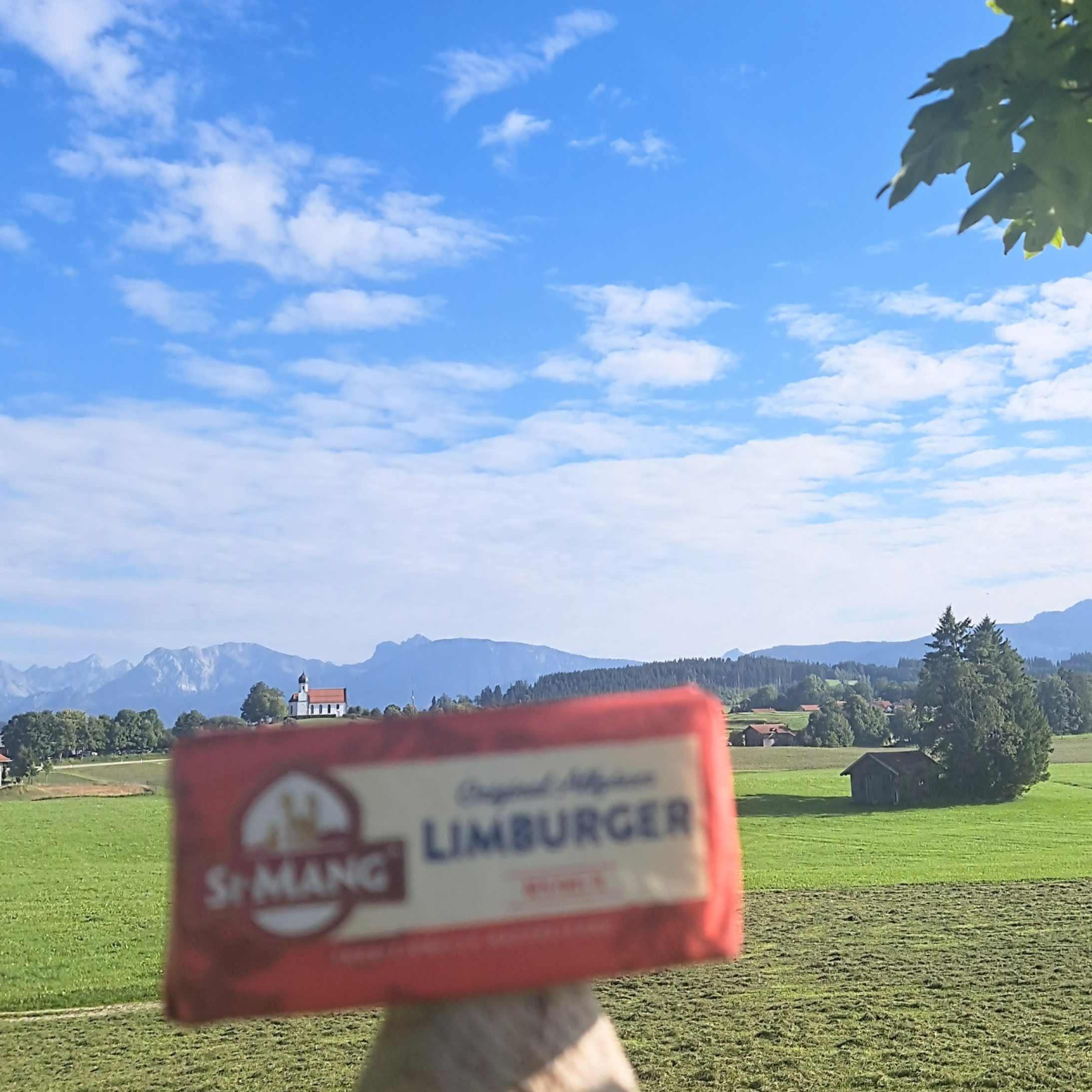 Limburger 200 gramm